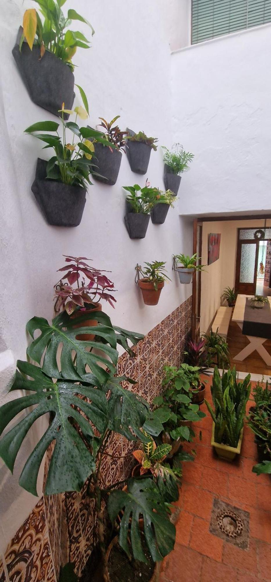 La Casa De Abuela Habitaciones Con Bano Compartido En El Casco Historico De Frigiliana "Solo Adultos" Esterno foto